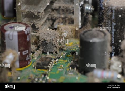 accumulated conductive dust in electrical box|wet dust in electronics.